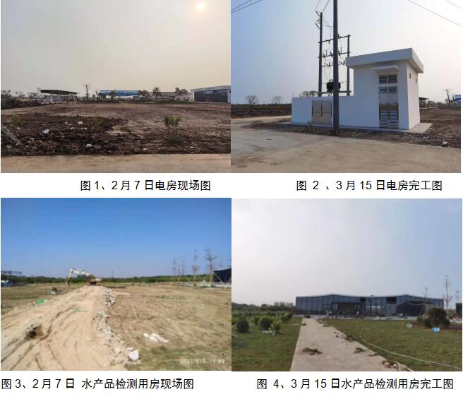 DDpay钱包(China)官网