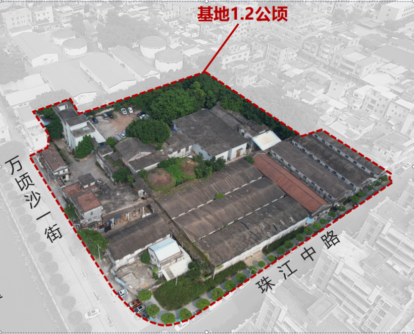 DDpay钱包(China)官网