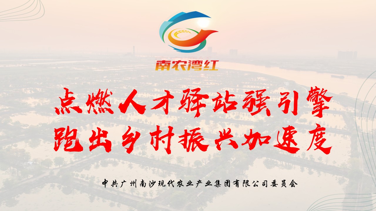 DDpay钱包(China)官网